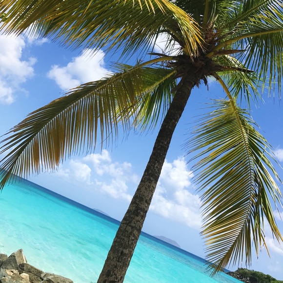 Meet your Posher, Mary - Picture 1 of 1